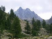 Gias delle Mosche 1591 m - Rif. Remondino 2465 m - FOTOGALLERY